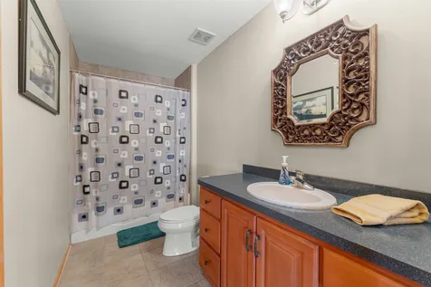 21332 Windy Hill Drive Frankfort IL 60423