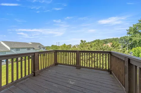 21332 Windy Hill Drive Frankfort IL 60423