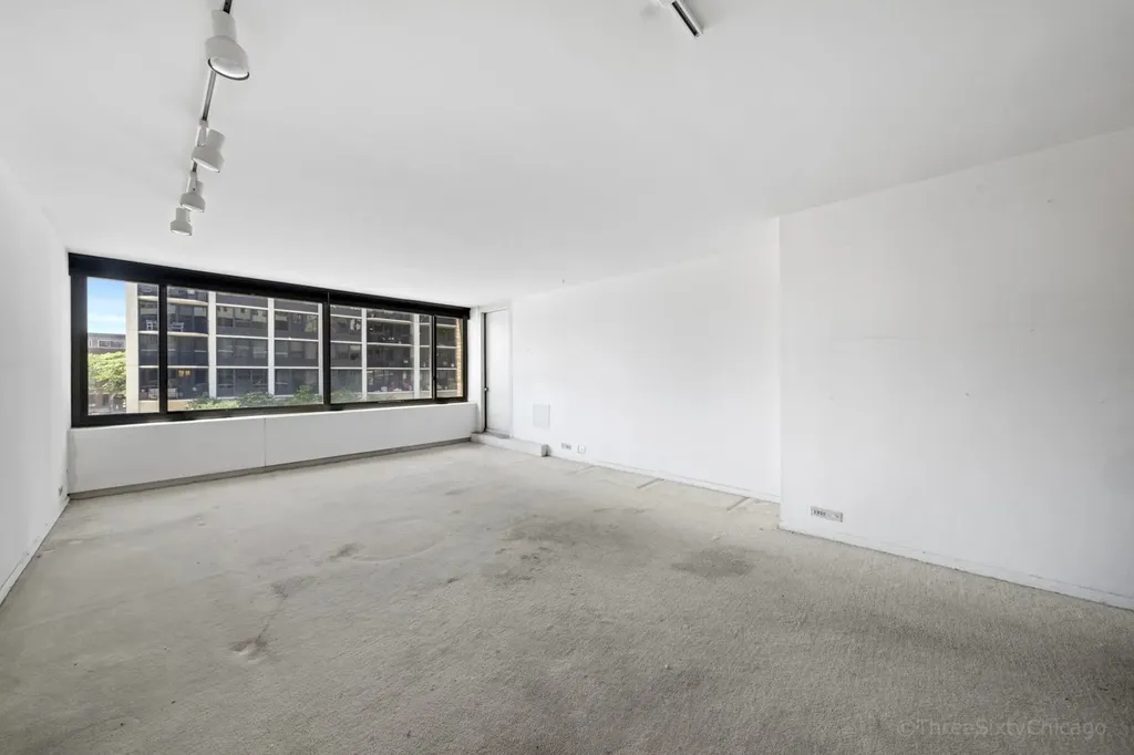1555 North Sandburg Terrace Chicago IL 60610