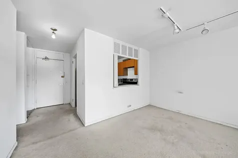 1555 North Sandburg Terrace Chicago IL 60610