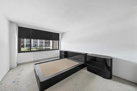 1555 North Sandburg Terrace Chicago IL 60610