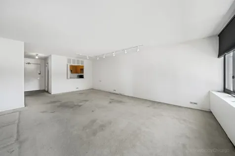 1555 North Sandburg Terrace Chicago IL 60610
