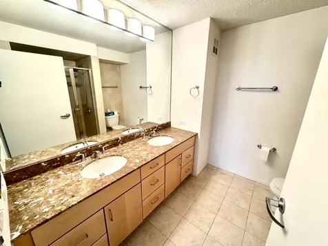 9725 Woods Drive Skokie IL 60077