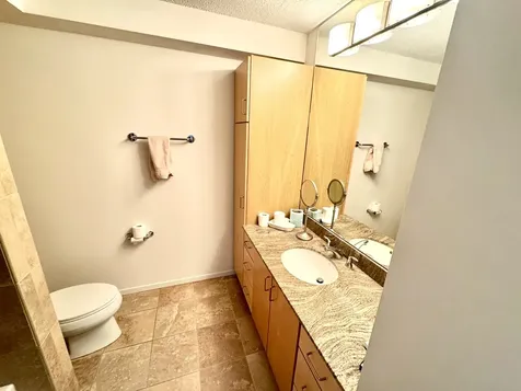 9725 Woods Drive Skokie IL 60077