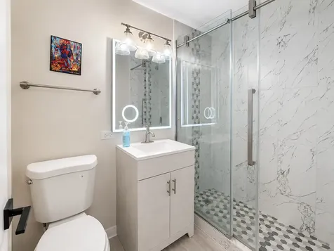 1455 North Sandburg Terrace Chicago IL 60610