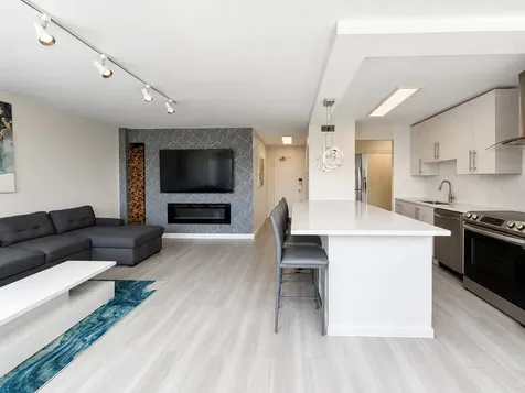 1455 North Sandburg Terrace Chicago IL 60610