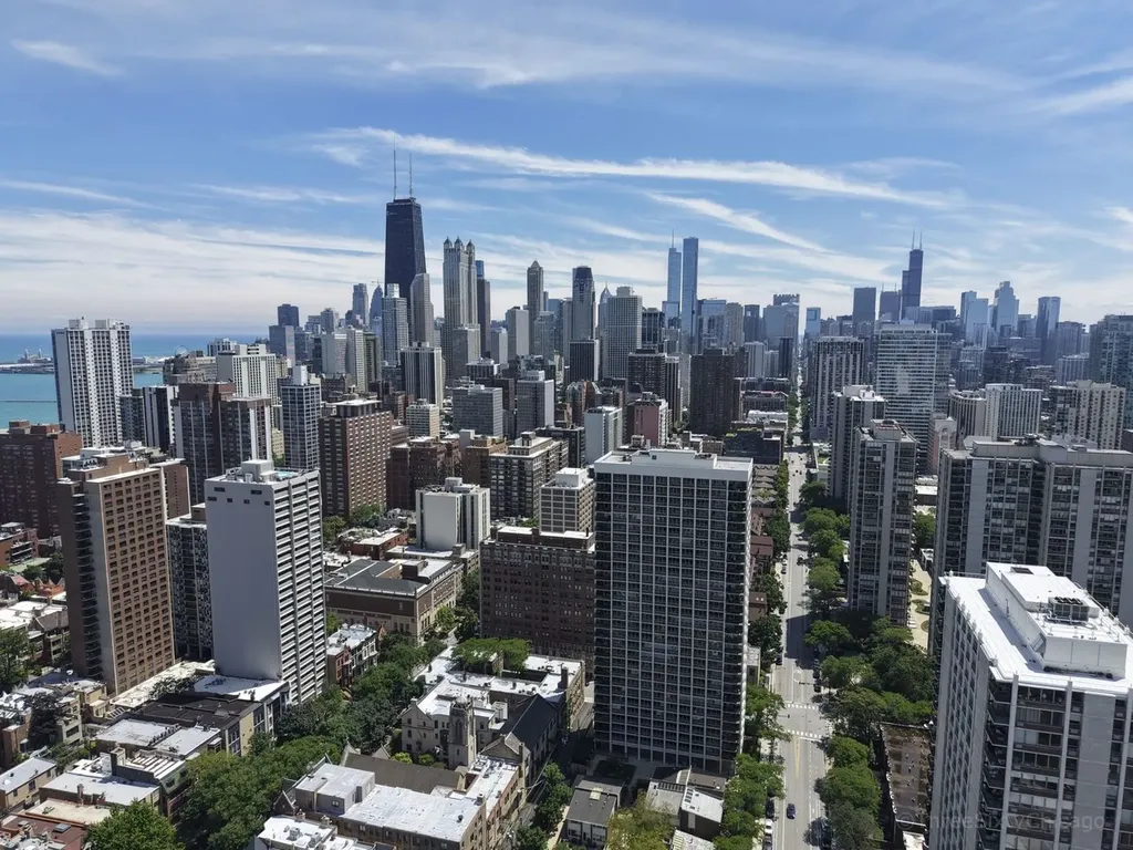 1555 North Sandburg Terrace Chicago IL 60610