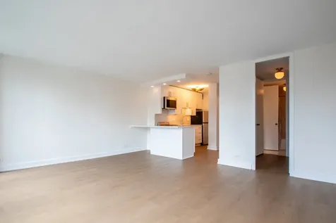 1 East Scott Street Chicago IL 60610