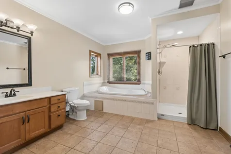 13813 West Dublin Drive Homer Glen IL 60491
