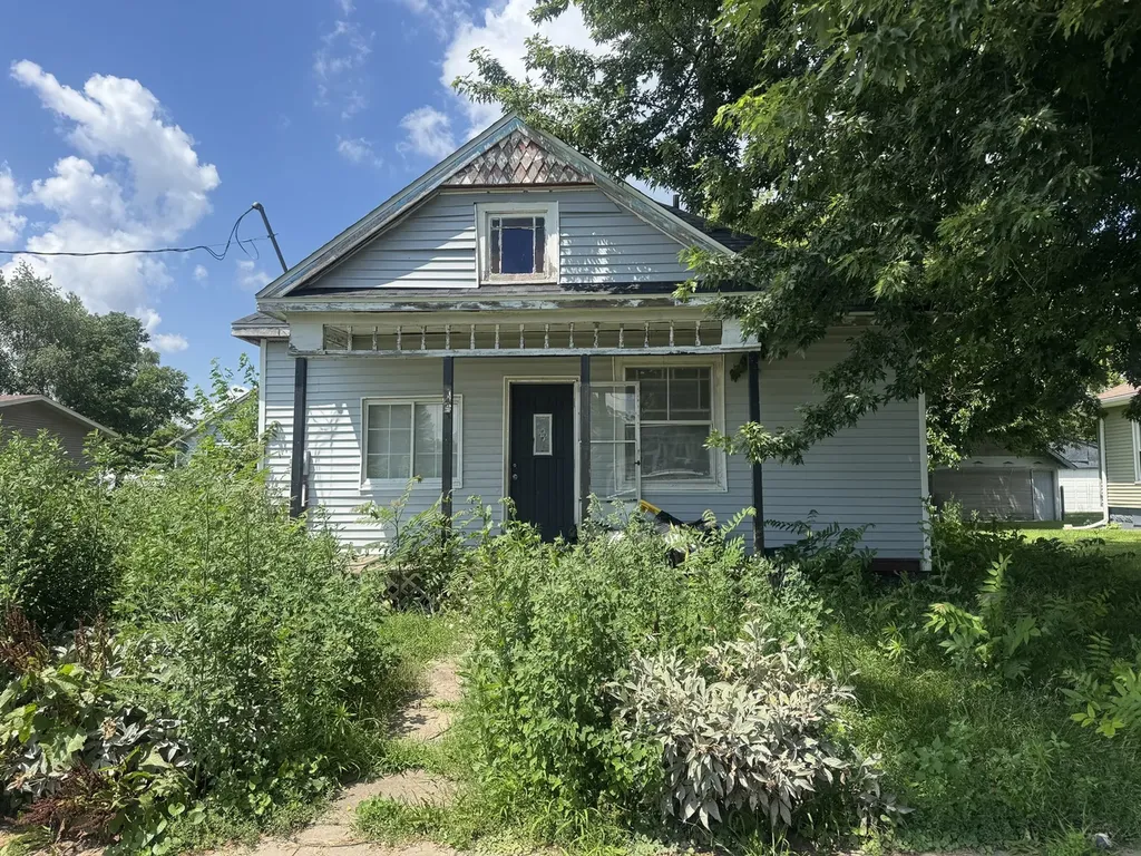 201 East Main Street Joy IL 61260