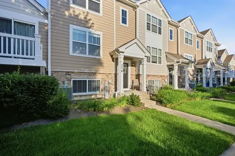 176 Goldenrod Drive Elgin IL 60124