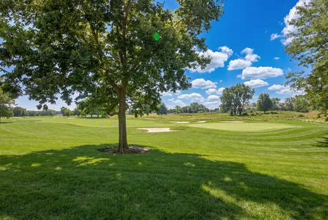 584 Elizabeth Drive Wood Dale IL 60191