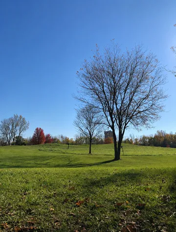 584 Elizabeth Drive Wood Dale IL 60191