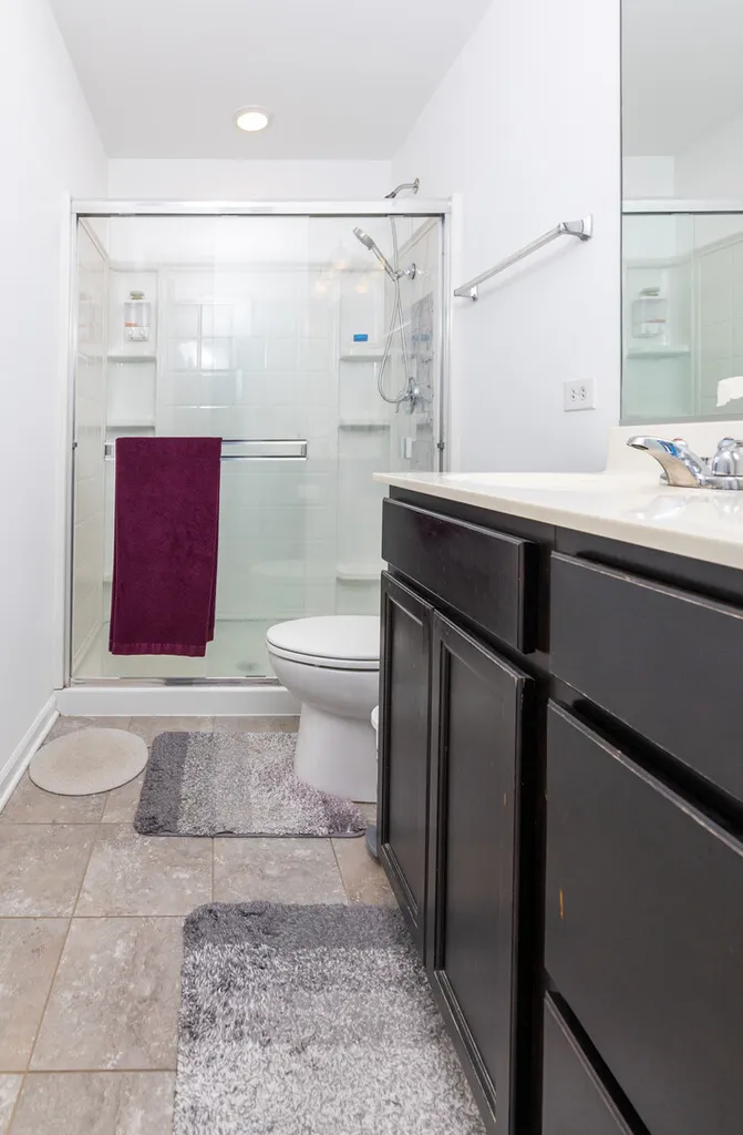 908 Bradford Drive Naperville IL 60563