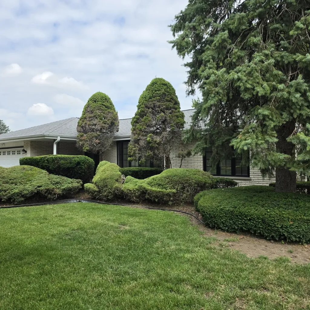 7644 Cashew Drive Orland Park IL 60462