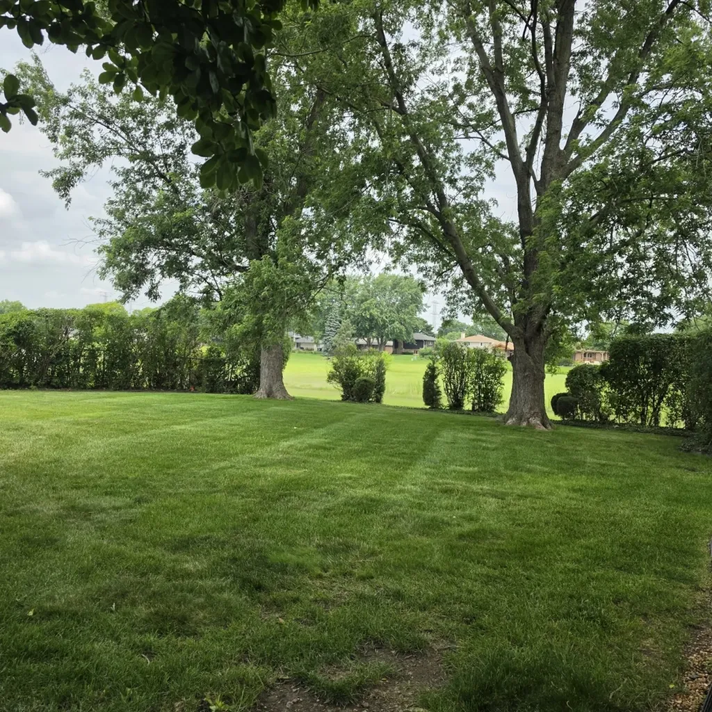 7644 Cashew Drive Orland Park IL 60462