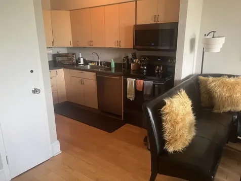 1550 North Lake Shore Drive Chicago IL 60610