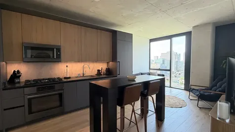 234 West Polk Street Chicago IL 60607