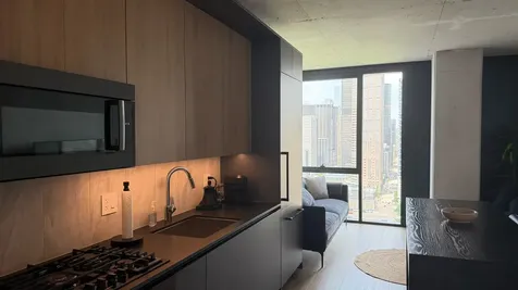 234 West Polk Street Chicago IL 60607