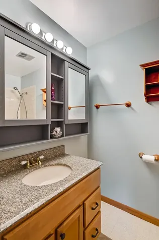 6184 Pinewood Court Willowbrook IL 60527