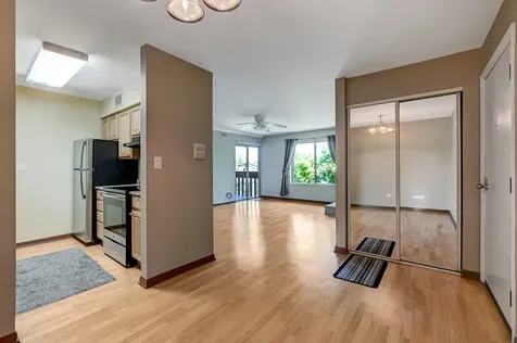 6184 Pinewood Court Willowbrook IL 60527