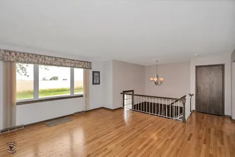 713 Oak Park Avenue Beecher IL 60401