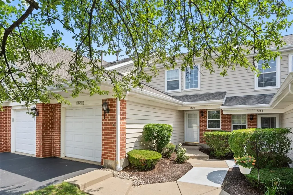325 Odlum Court Schaumburg IL 60194