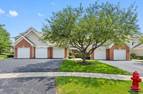 325 Odlum Court Schaumburg IL 60194