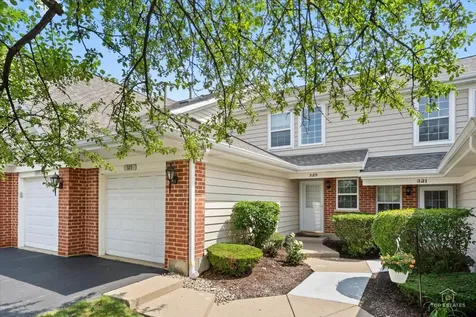 325 Odlum Court Schaumburg IL 60194