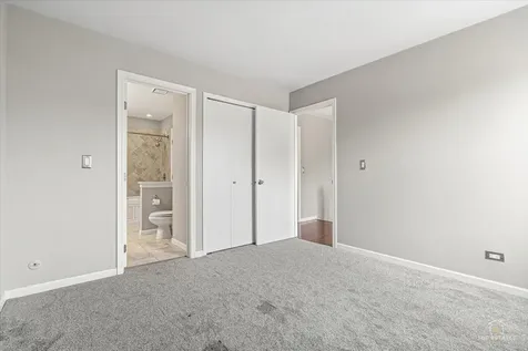 325 Odlum Court Schaumburg IL 60194