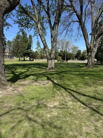 115 Northwestern Street Spring Valley IL 61362