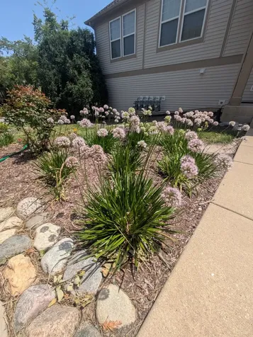 485 Conservatory Lane Aurora IL 60502