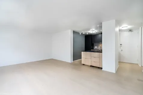 1401 East 55th Street Chicago IL 60615