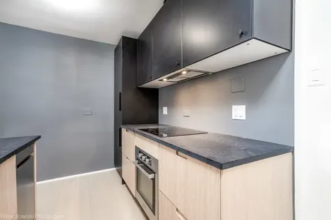 1401 East 55th Street Chicago IL 60615