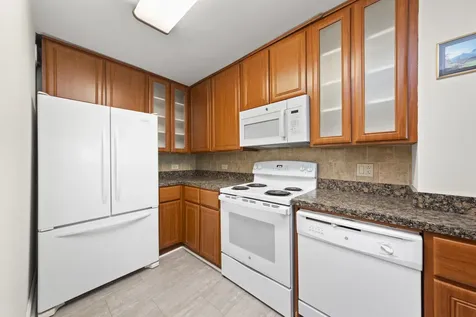 195 North Harbor Drive Chicago IL 60601