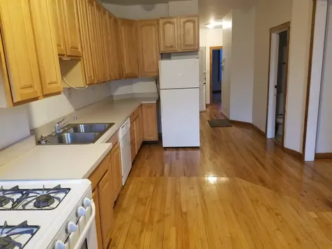3728 North Wilton Avenue Chicago IL 60613