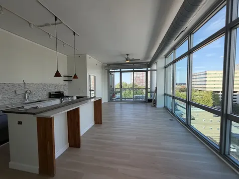 1819 South Michigan Avenue Chicago IL 60616