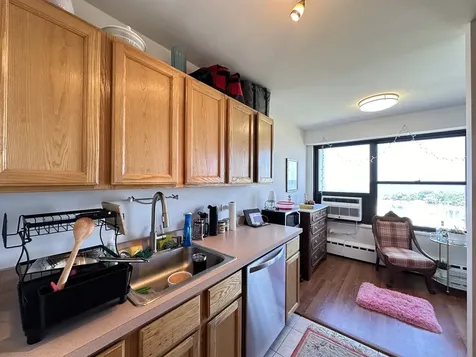 3410 North Lake Shore Drive Chicago IL 60657