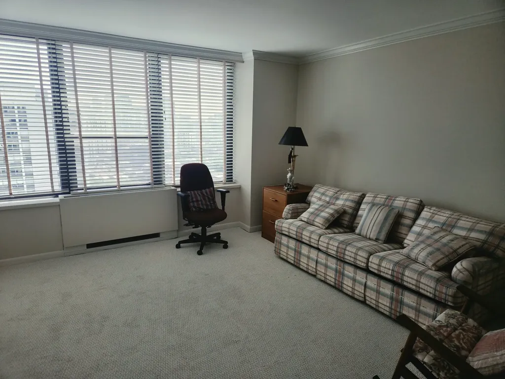 1560 North Sandburg Terrace Chicago IL 60610
