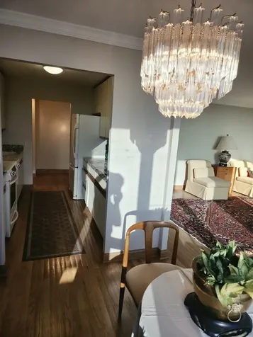 1560 North Sandburg Terrace Chicago IL 60610
