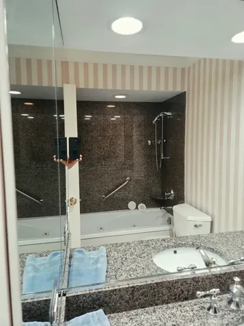 1560 North Sandburg Terrace Chicago IL 60610