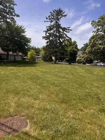 Lois Lane Lake Zurich IL 60047