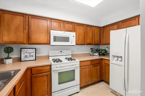 616 Lincoln Station Drive Oswego IL 60543