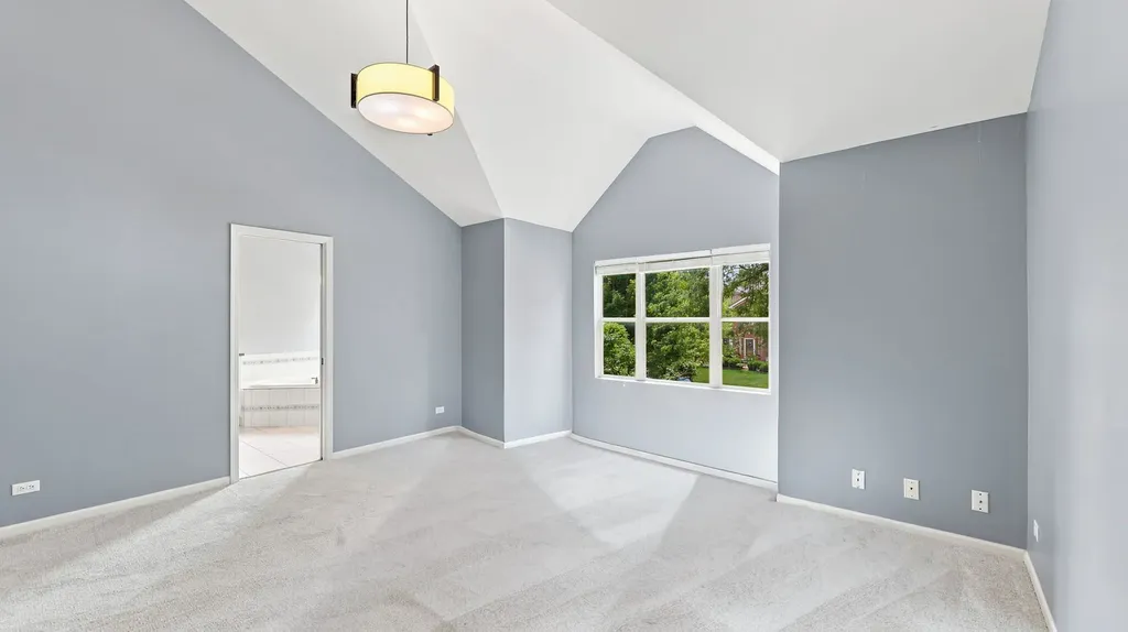 2219 Haider Avenue Naperville IL 60564