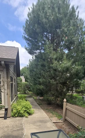1988 Timberview Drive Joliet IL 60431