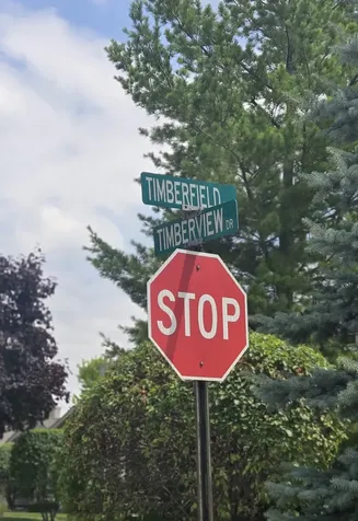 1988 Timberview Drive Joliet IL 60431