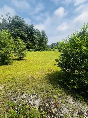 4708 13000 Road Pembroke Twp IL 60958