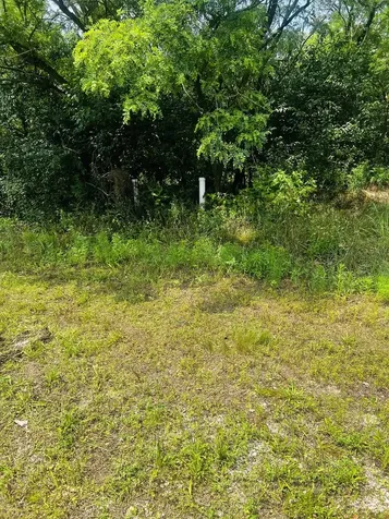 4708 13000 Road Pembroke Twp IL 60958