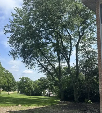5811 Oakwood Drive Lisle IL 60532