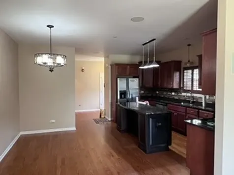 1038 Regent Drive Matteson IL 60443